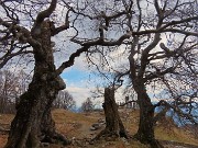 58 I Tre Faggi...quello centrale ci ha lasciato